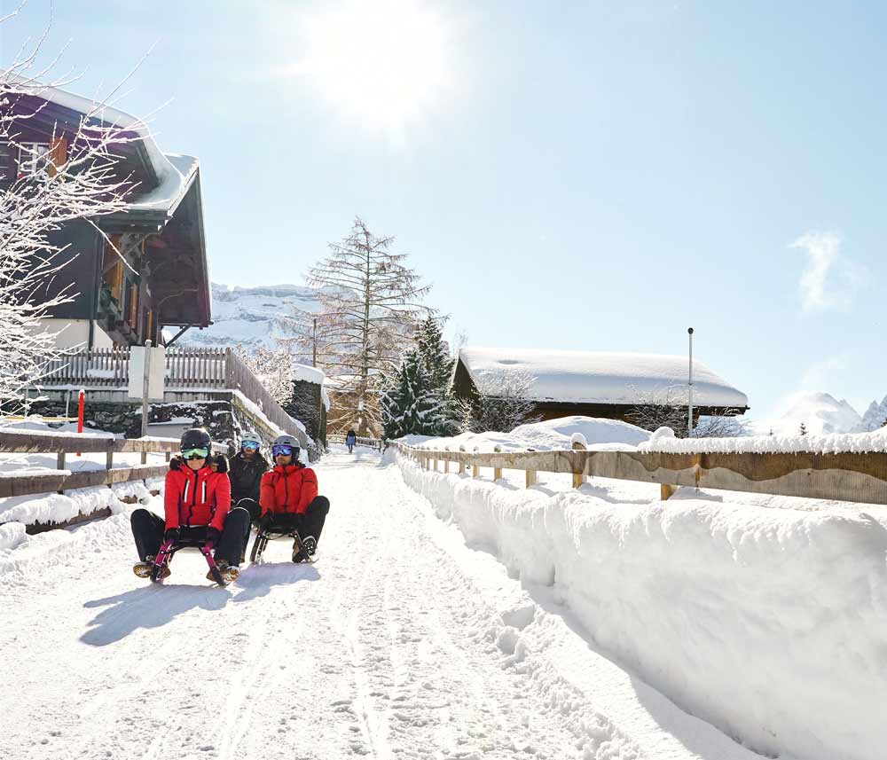 Schönste_Schlittelpiste